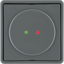 Lade das Bild in den Galerie-Viewer, CX6132 Wandleser (Innenvariante)